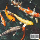 My Pet Fish - Animal Book 4-6 | Children's Animal Books