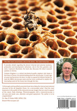Honey Bee Drones