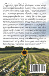 Sólo Dios restaura Sólo Dios restaura