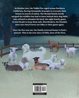 Odin, Dog Hero of the Fires