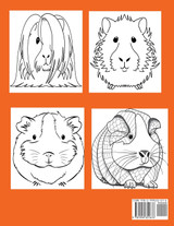 Guinea Pigs Coloring Book Guinea Pigs Coloring Book