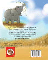 Marigold ~ A Baby Elephant