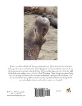 "The Comeback Kids" Book 1, The Northern Elephant Seals "The Comeback Kids" Book 1, The Northern Elephant Seals