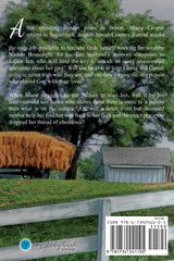 Secrets of Willow Springs - Book 2 Secrets of Willow Springs - Book 2