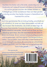 Die Sternsteins