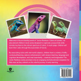 Junior Rainbow, Colors of Lizards Junior Rainbow, Colors of Lizards