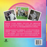 少年彩虹, 貓的顏色 少年彩虹, 貓的顏色
