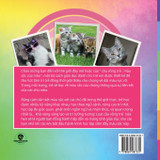 cầu vồng trẻ, màu sắc của mèo