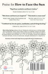 How to Face the Sun