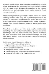 Mold Illness Diet
