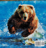 The Grizzly The Grizzly