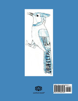 The Blue Jay Bird and Her Nest