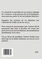 La violence des âmes brisées La violence des âmes brisées