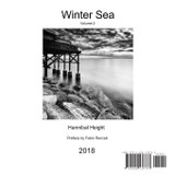 Winter Sea - Volume 2