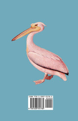 Rare, Vanishing and Lost British Birds Rare, Vanishing and Lost British Birds