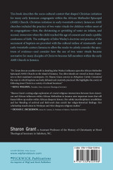 Rebaptism Calmly Considered