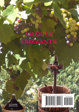 Amabile Frizzante