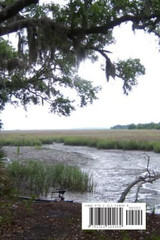 Lowcountry Brittle Lowcountry Brittle