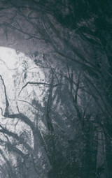 Dark Fantasy Notebook