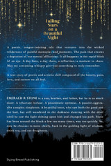 Falling Stars on a Beautiful Night