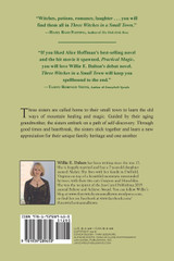 Three Witches in a Small Town