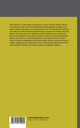 Labour History in the Semi-periphery