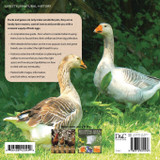 Keeping Ducks & Geese Keeping Ducks & Geese