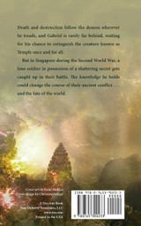 Whisper of Southern Lights