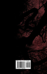 Tales from the Darkened Streets of Dublin - Ghost Stories and Tales of Witchcraft and Magic from Authors Like Bram Stoker and J. Sheridan Le Fanu (Fan