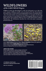 Wildflowers of the Lake Mead Region