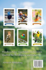 Die 40 Schönsten Vögel der Welt Bilderbuch