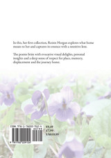 Awash with Violets Awash with Violets