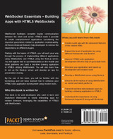 WebSocket Essentials
