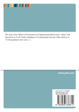 Effects of privatization on organizational effectiveness Effects of privatization on organizational effectiveness