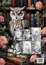 Owln in the Library Coloring Book for Adults Owln in the Library Coloring Book for Adults
