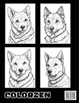 Pooches in Polygons Pooches in Polygons