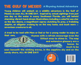The Gulf of Mexico The Gulf of Mexico
