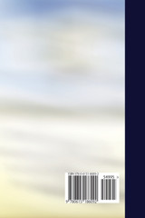 An Insiders Guide to Buying and Selling Used Mobile Homes An Insiders Guide to Buying and Selling Used Mobile Homes