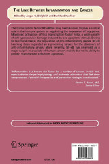 The Link Between Inflammation and Cancer