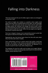 Falling into Darkness