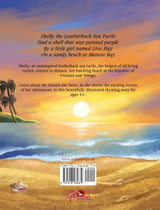 A Turtle's Adventures A Turtle's Adventures