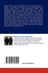 Software Testing Process in Agile Development