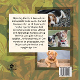 Juniorstudenter, Alt Om Hunder