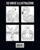 Fenicottero Libro da Colorear