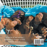 An Irish Setter Christmas