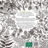 LIVRO DE COLORIR ANTIESTRESSE MARAVILHAS NATURAIS LIVRO DE COLORIR ANTIESTRESSE MARAVILHAS NATURAIS