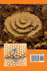 Australian Stingless Bees Australian Stingless Bees
