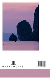 American House Building in Messina and Reggio American House Building in Messina and Reggio