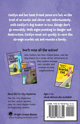 Mystery of the Scarlet Cat