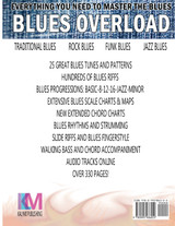 Cigar Box Guitar - Blues Overload